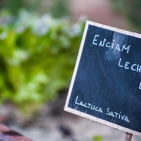 Suites Natura Mas Tapiolas Santa Cristina d'Aro Ngoại thất bức ảnh